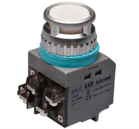 Kacon B30-27W-24VDC 30 mm Momentary Push Button, White, 24V LED Questions & Answers