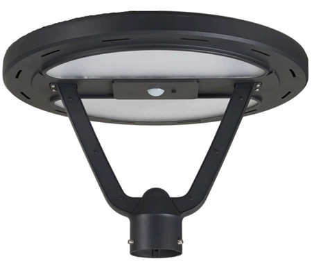 Does the Light Efficient Design SL-CPT-25L-30K-BK-G1 LED solar pathway light come with a pole?